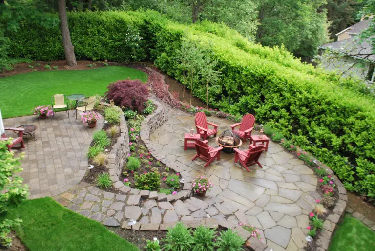 Les 15 meilleures plantes à cultiver pour protéger votre intimité dans votre jardin Plantes pour préserver l'intimité