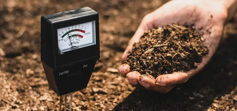 ANALYSE DE SOL : quel kit choisir pour analyser la qualité de votre terre Le meilleur kit d'analyse de sol