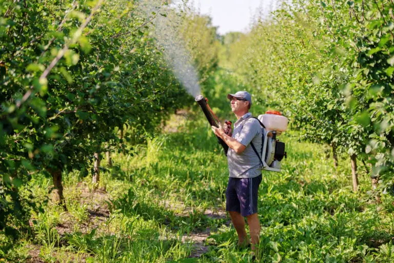 N'utiliser pas du pesticide