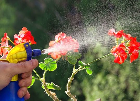Le nettoyage concerne les pesticides