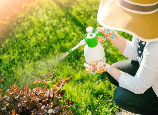 Pesticides à usage général pour le secteur résidentiel - Les inconvénients